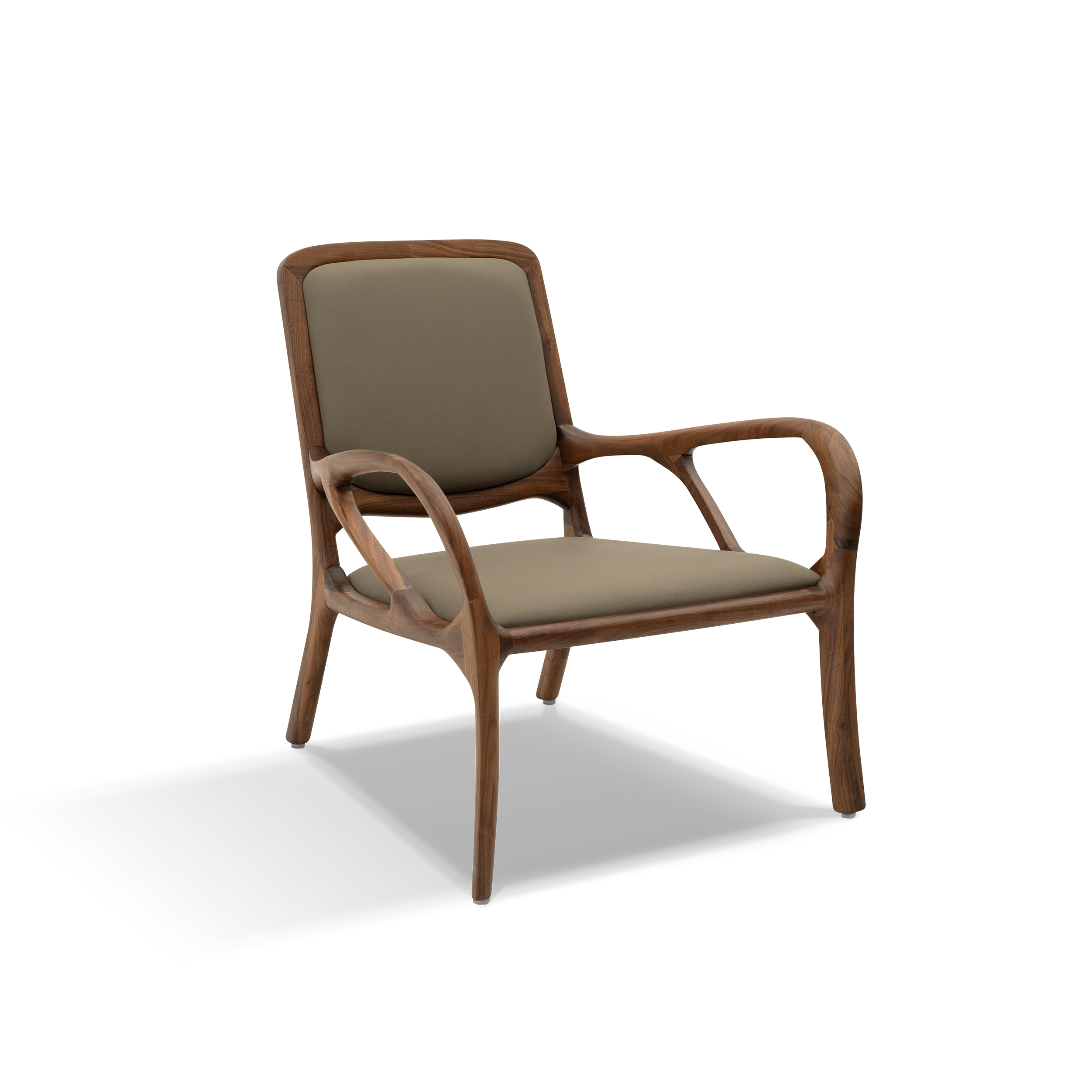 Dark Wood Accent Chair DMDY909