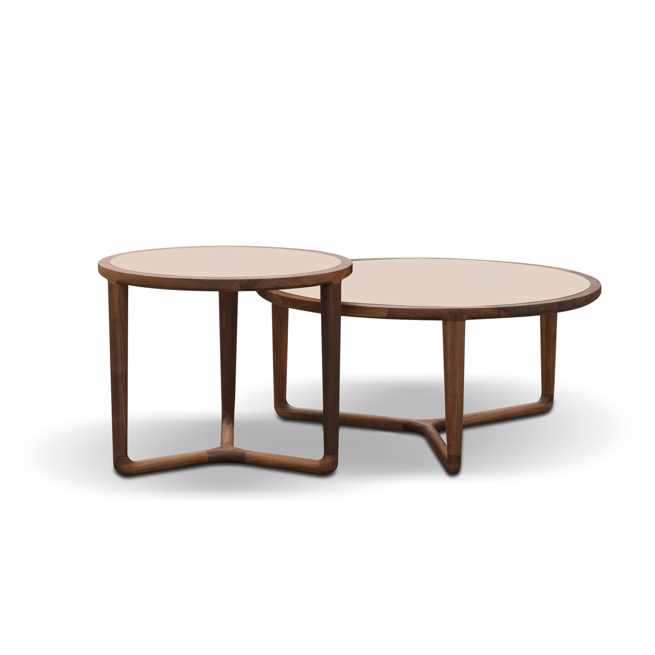 Dark Wood Coffee Table & TV Unit DMCJ932