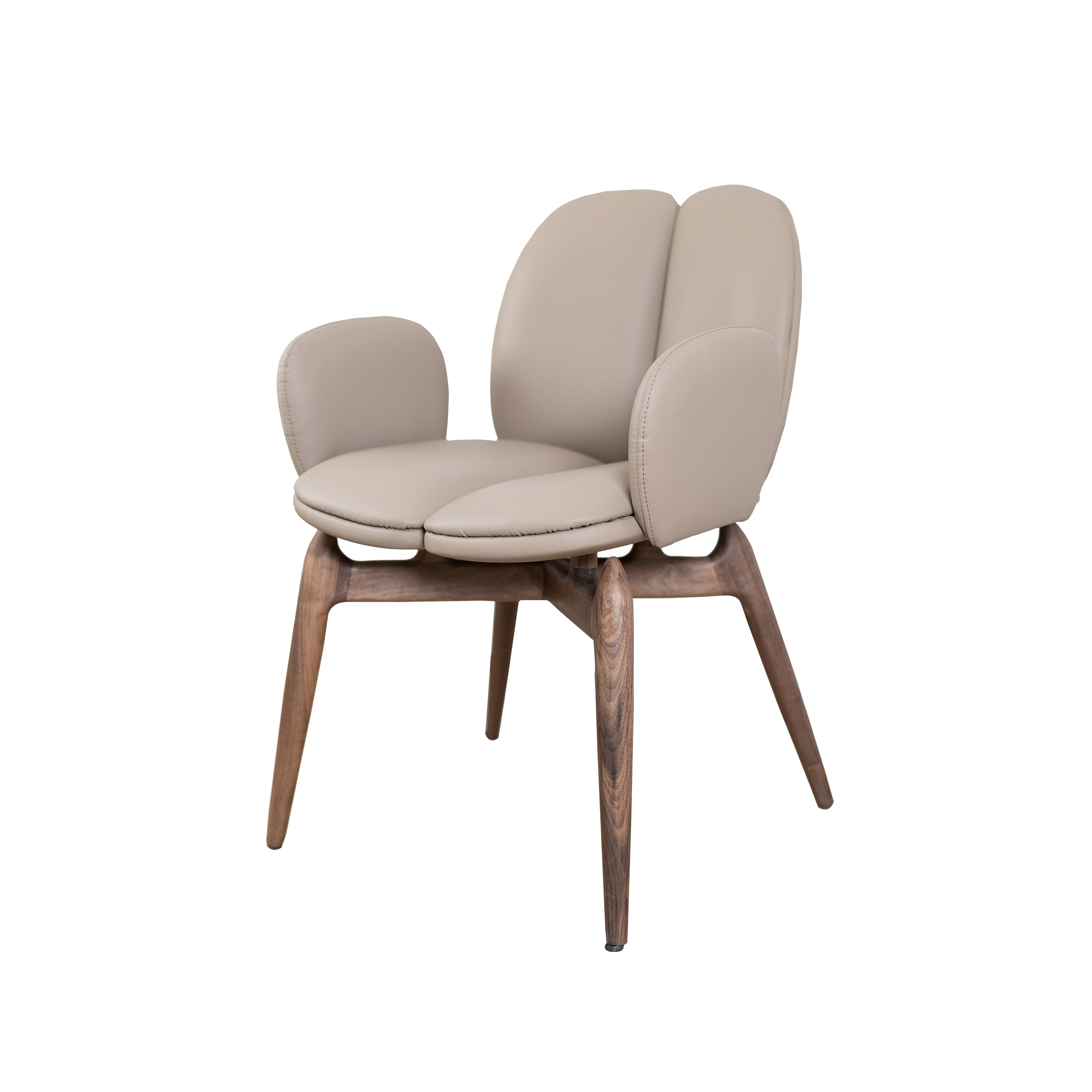 Dark Wood Dining Chair DMCY922