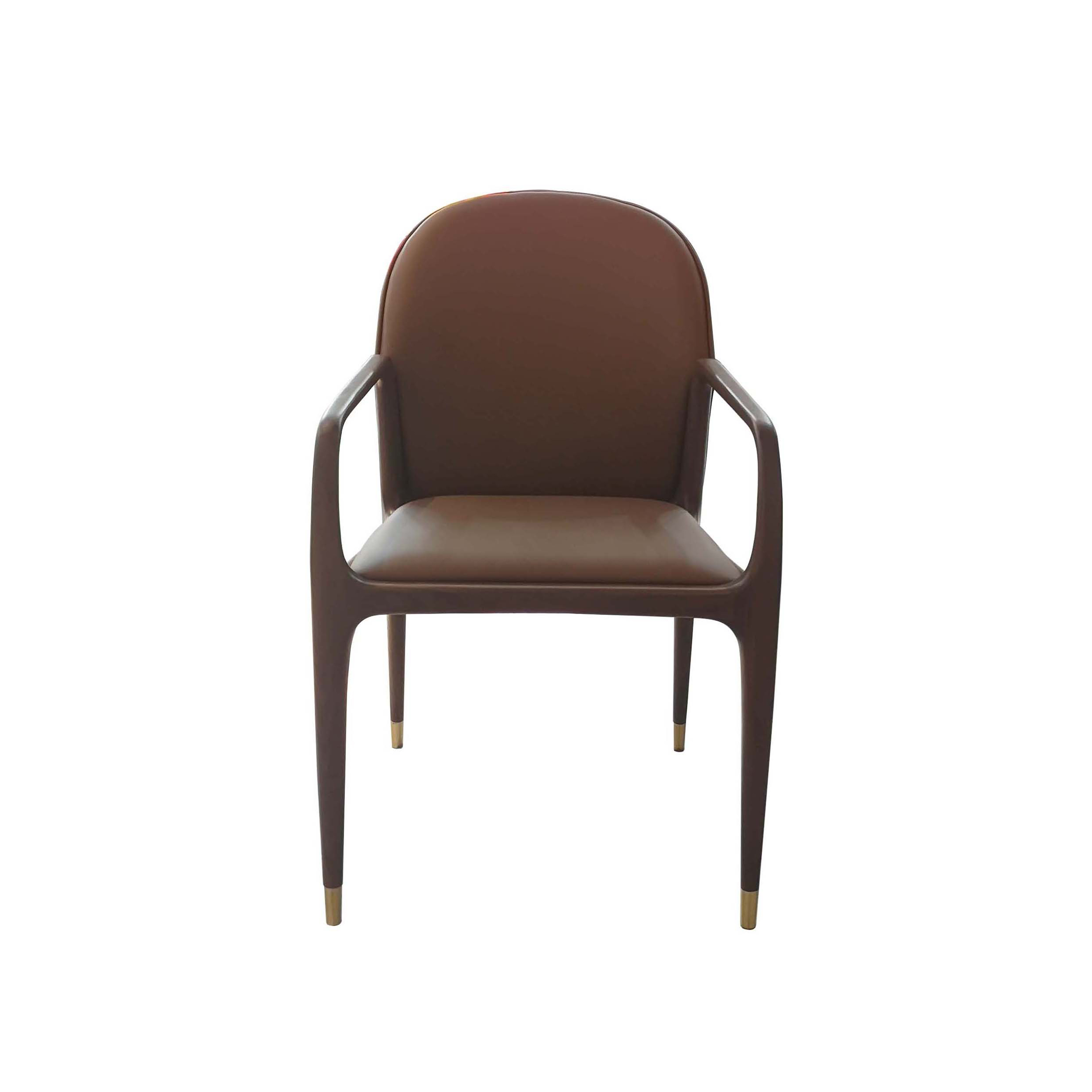 Dark Wood Dining Chair DMCY961