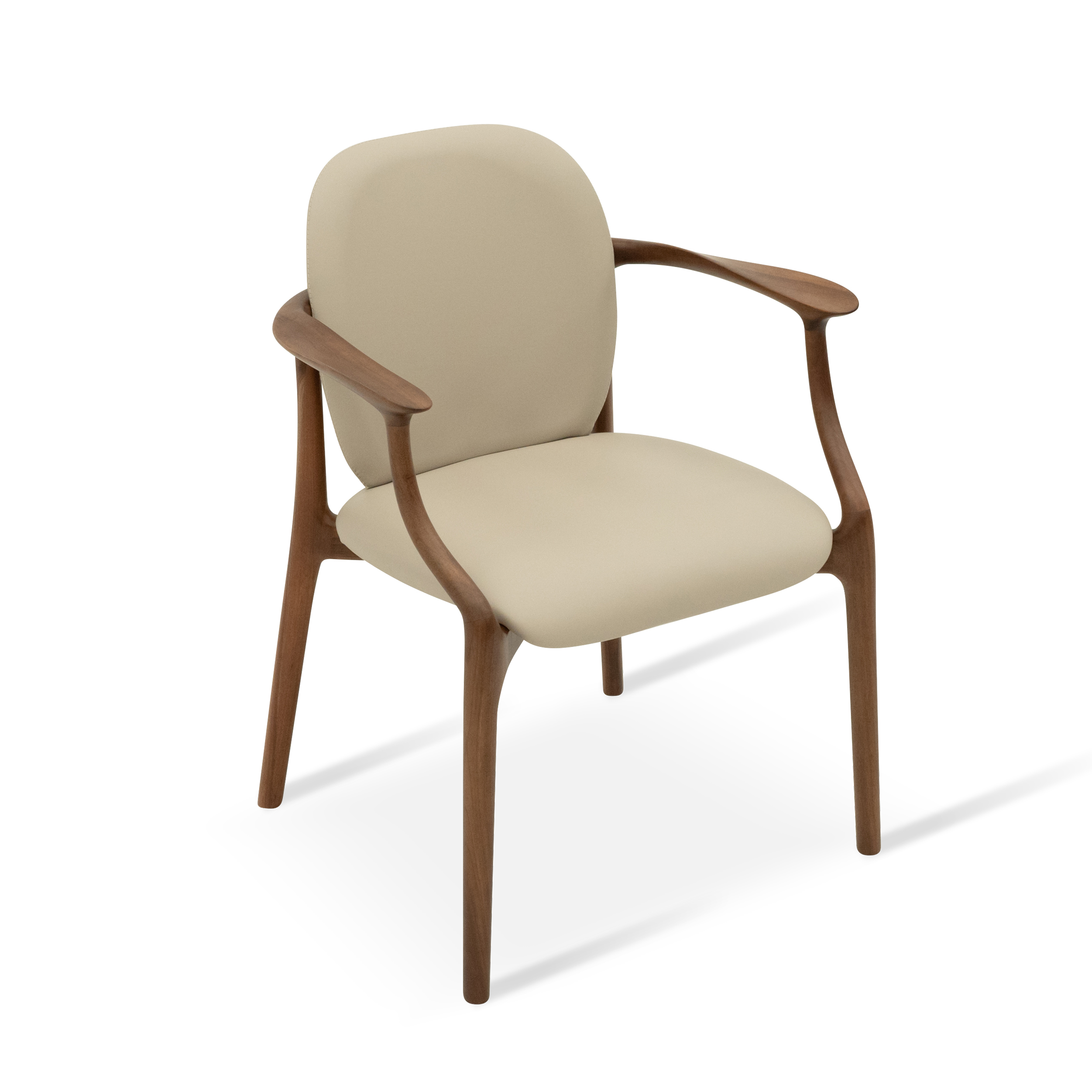 Dark Wood Dining Chair DMCY980